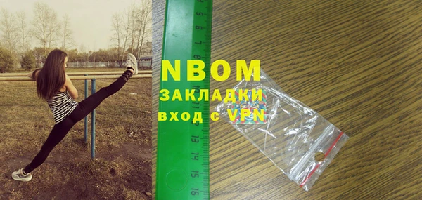 стаф Аркадак
