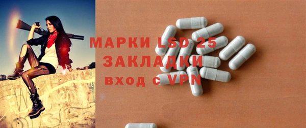 стаф Аркадак