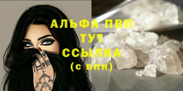 стаф Аркадак