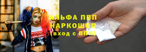 стаф Аркадак