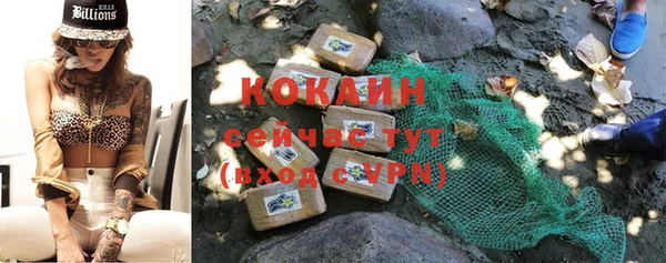 стаф Аркадак