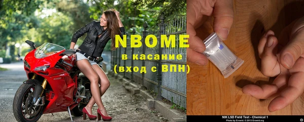 стаф Аркадак
