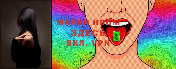 стаф Аркадак