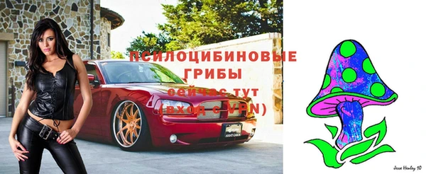 трава Арсеньев