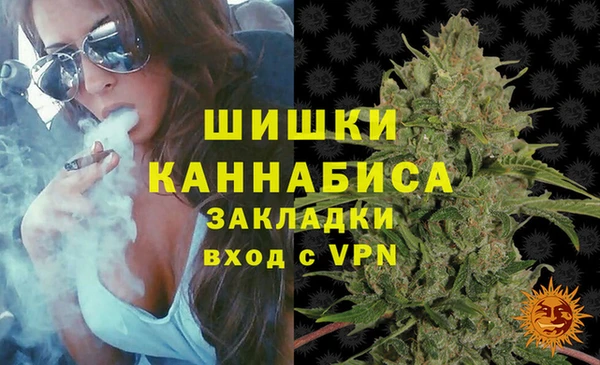 стаф Аркадак