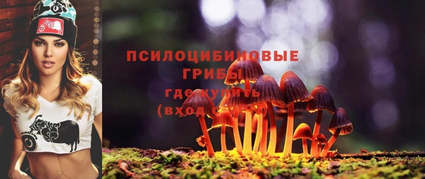 стаф Аркадак