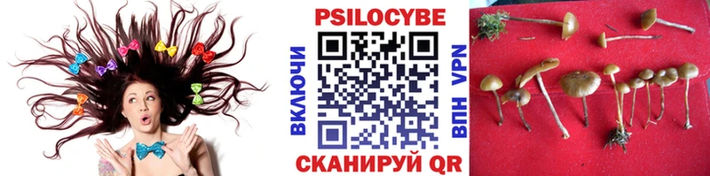 Галлюциногенные грибы Psilocybe  Мелеуз 
